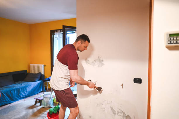 Best DIY Mold Remediation Support Services in Rockville, MN